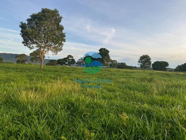 #544 - Fazenda para Venda em Niquelândia - GO - 2