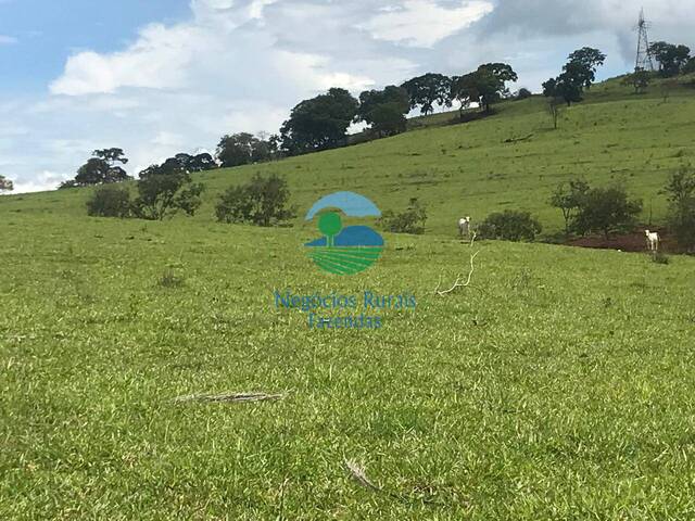 #545 - Fazenda para Venda em Barro Alto - GO