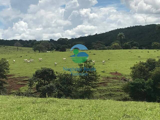 #545 - Fazenda para Venda em Barro Alto - GO