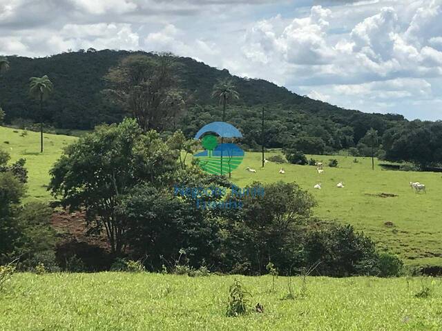 #545 - Fazenda para Venda em Barro Alto - GO