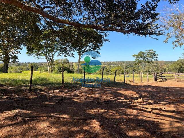 Fazenda para Venda em Alto Horizonte - 4