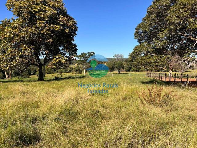 Fazenda para Venda em Alto Horizonte - 5