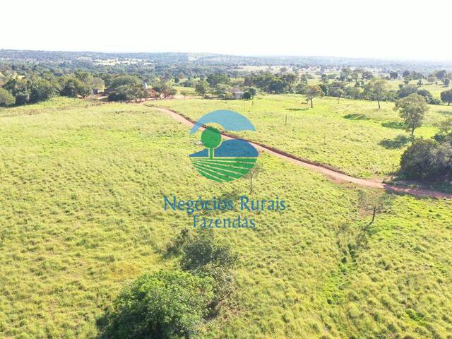 #546 - Fazenda para Venda em Alto Horizonte - GO - 2