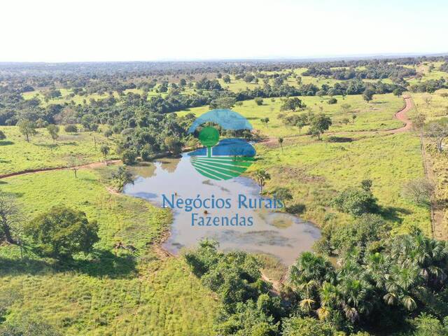 #546 - Fazenda para Venda em Alto Horizonte - GO - 3