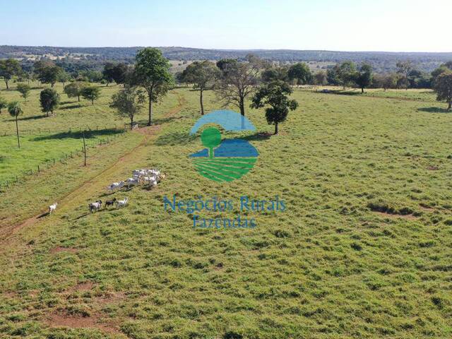 Venda em Zona rural - Alto Horizonte