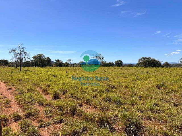#548 - Fazenda para Venda em Estrela do Norte - GO - 3