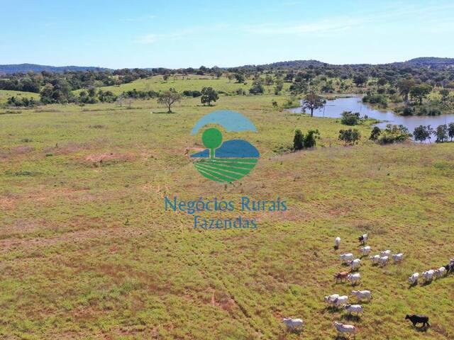 Fazenda para Venda em Estrela do Norte - 5