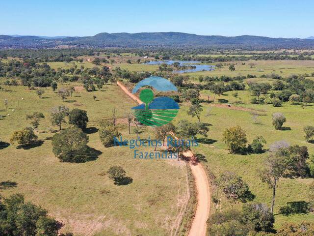 Fazenda para Venda em Estrela do Norte - 4