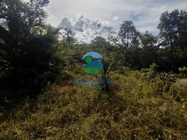Chácara para Venda em Alto Horizonte - 4