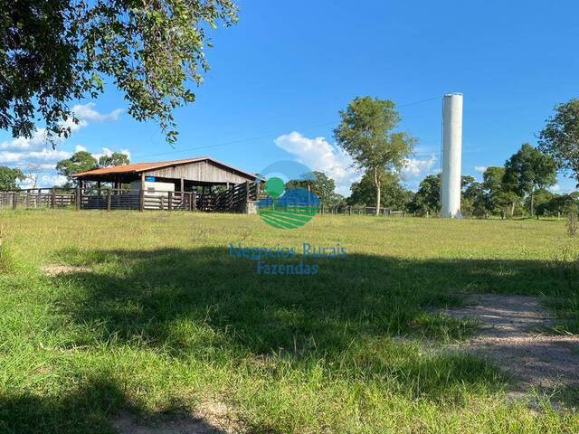 Fazenda para Venda em Cocalinho - 5