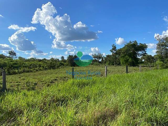 Fazenda para Venda em Cocalinho - 4