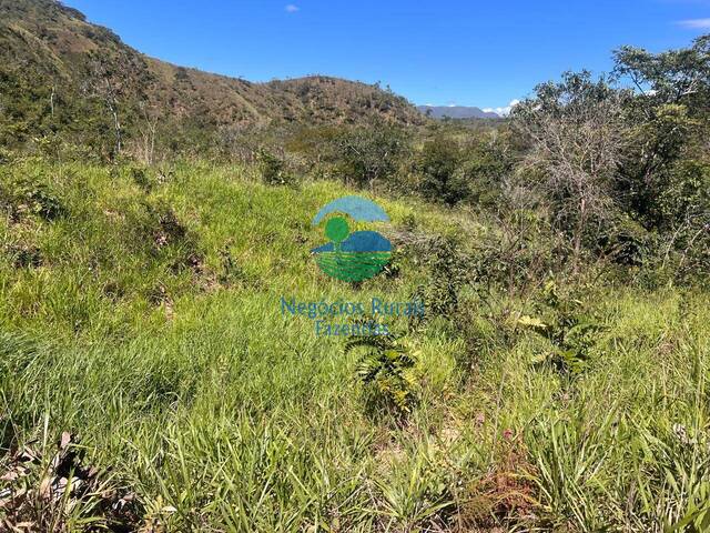 Fazenda para Venda em Niquelândia - 5