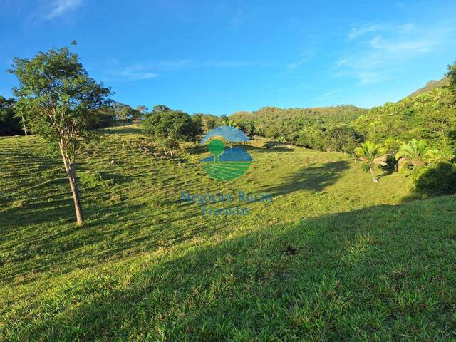 #551 - Fazenda para Venda em Niquelândia - GO - 2