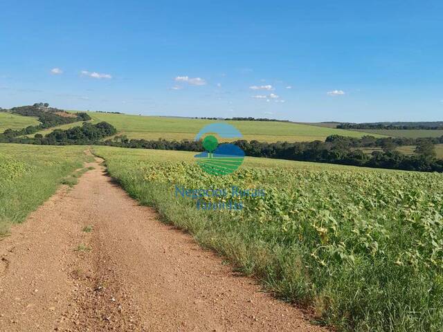 Fazenda para Venda em Caldas Novas - 4