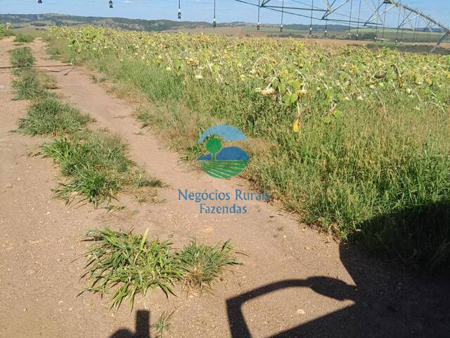 Fazenda para Venda em Caldas Novas - 5