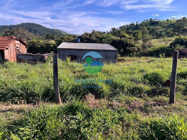 #555 - Fazenda para Venda em Rialma - GO - 2