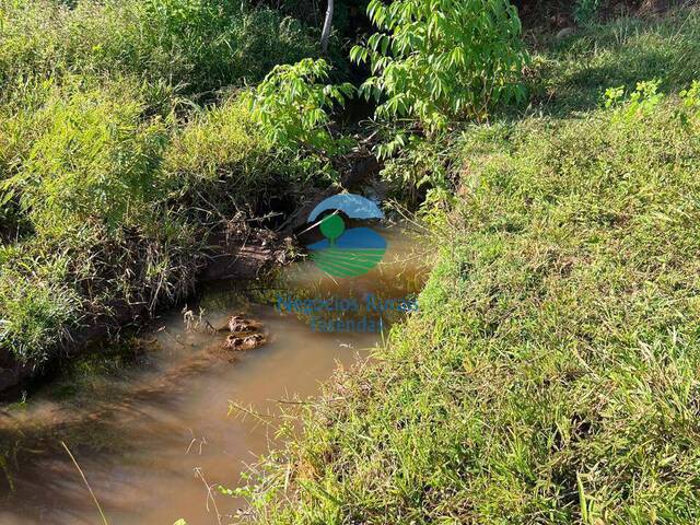 Fazenda para Venda em Rialma - 5