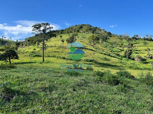 #555 - Fazenda para Venda em Rialma - GO - 1