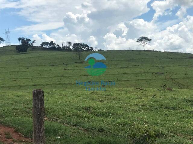 #556 - Fazenda para Venda em Goianésia - GO - 3