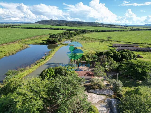 #558 - Fazenda para Venda em Goianésia - GO - 2