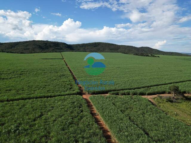 #558 - Fazenda para Venda em Goianésia - GO - 1