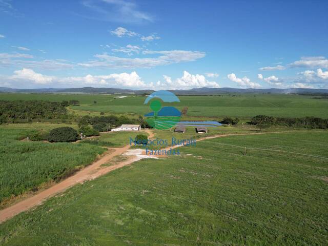 #558 - Fazenda para Venda em Goianésia - GO - 3