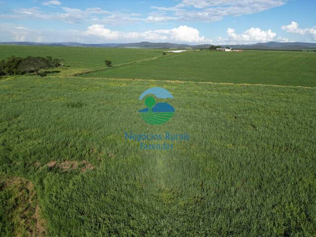 Fazenda para Venda em Goianésia - 4