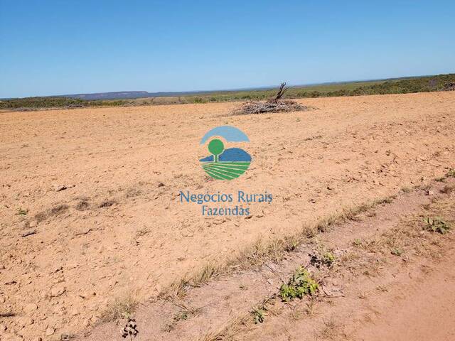 Fazenda para Venda em Porto Nacional - 4