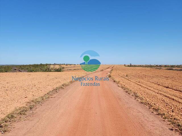 #559 - Fazenda para Venda em Porto Nacional - TO - 2