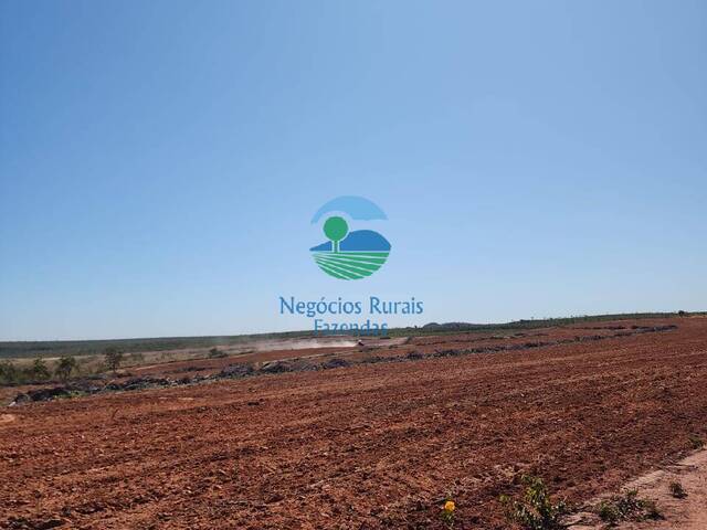 #559 - Fazenda para Venda em Porto Nacional - TO - 3
