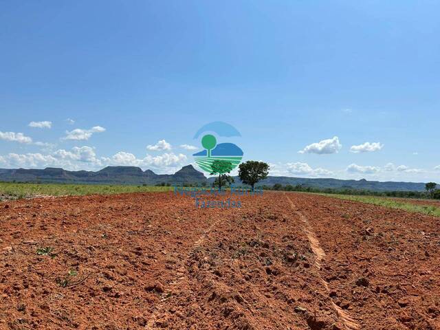 Fazenda para Venda em Recursolândia - 4