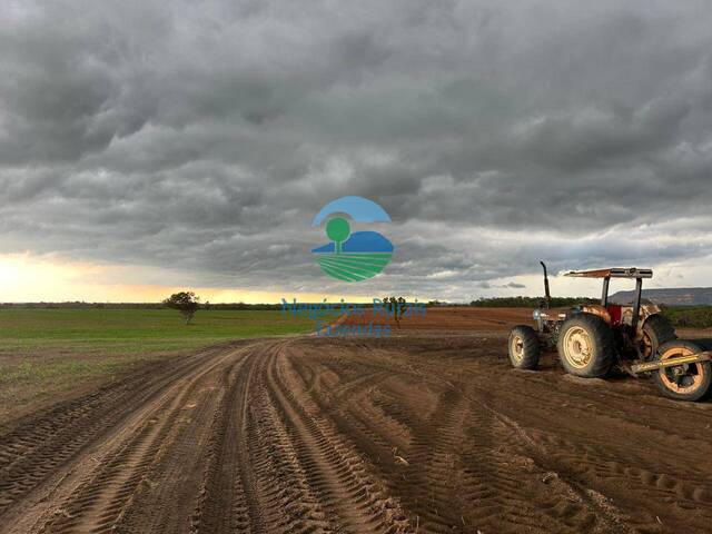 #560 - Fazenda para Venda em Recursolândia - TO - 3
