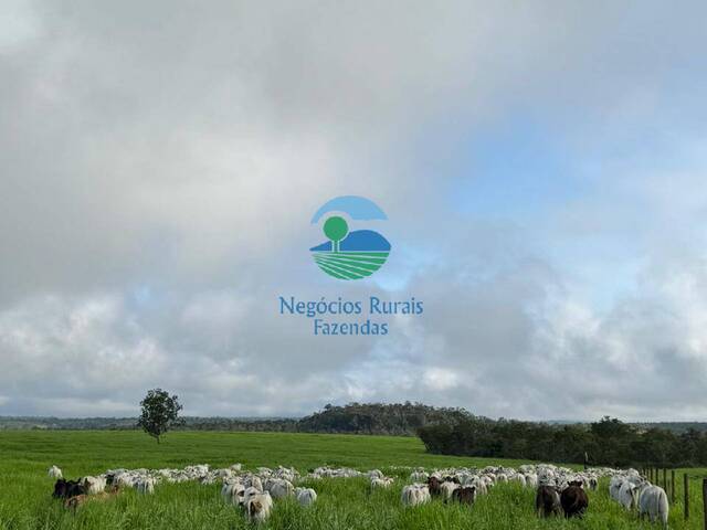 #560 - Fazenda para Venda em Recursolândia - TO - 1