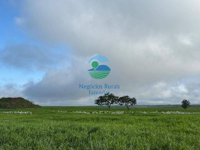 Fazenda para Venda em Recursolândia - 5