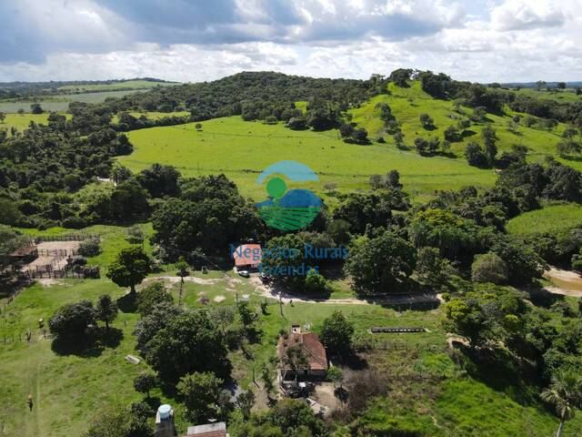 #562 - Fazenda para Venda em Itapuranga - GO - 2