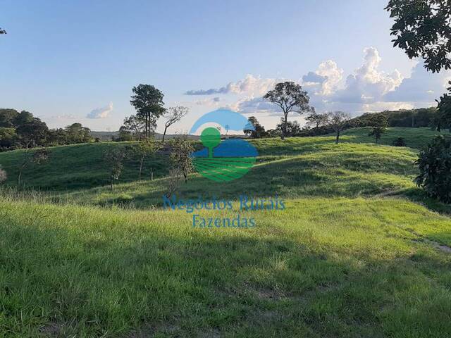 Fazenda para Venda em Itapuranga - 4
