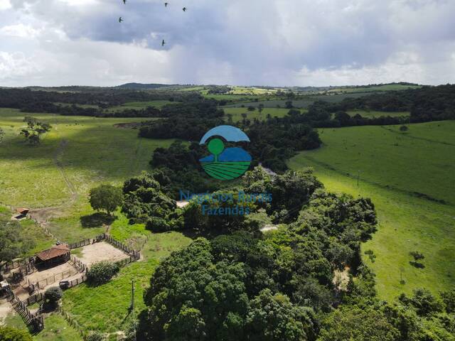 Fazenda para Venda em Itapuranga - 5