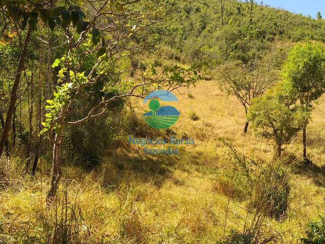 Fazenda para Venda em Niquelândia - 4