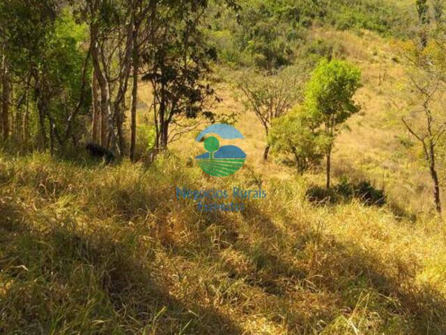 #563 - Fazenda para Venda em Niquelândia - GO - 3