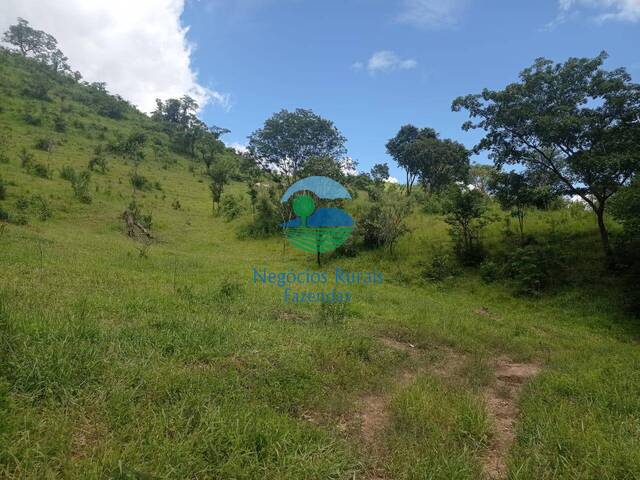 #563 - Fazenda para Venda em Niquelândia - GO - 1