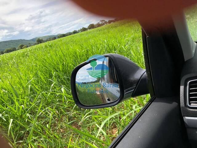 #564 - Fazenda para Venda em Formosa - GO - 2