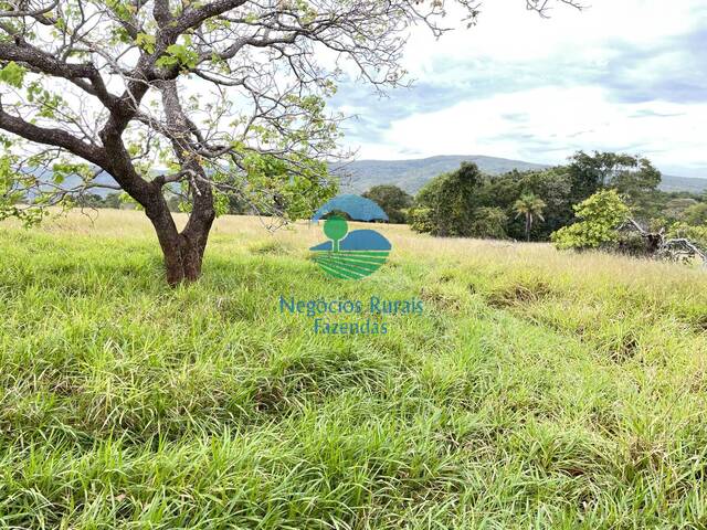 Venda em ZONA RURAL - Barro Alto