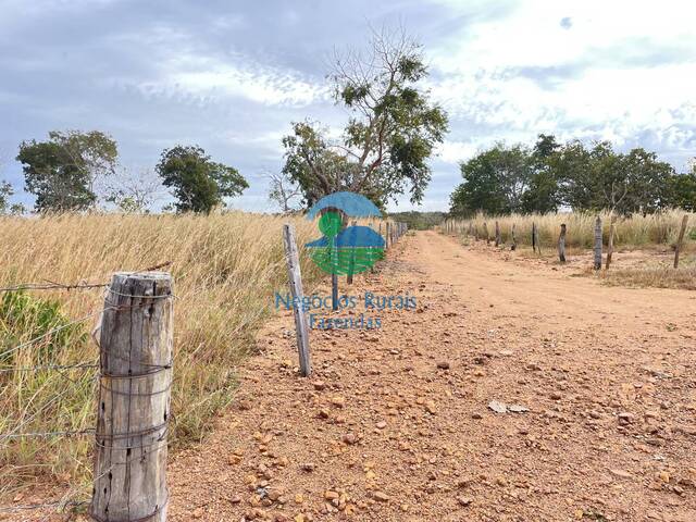 Fazenda para Venda em Barro Alto - 4