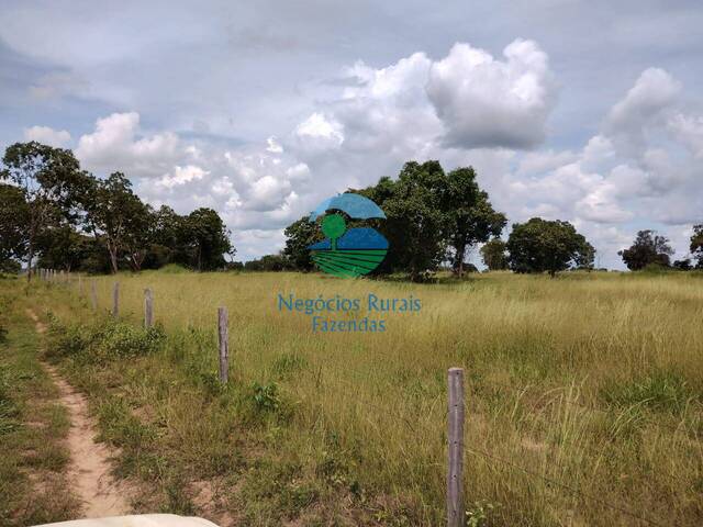 #566 - Fazenda para Venda em Paranã - TO - 2