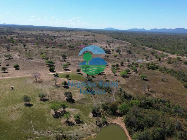 Fazenda para Venda em Paranã - 5