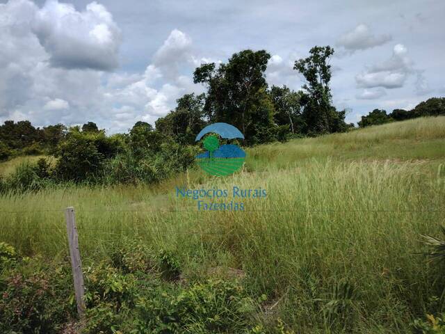 Fazenda para Venda em Paranã - 4