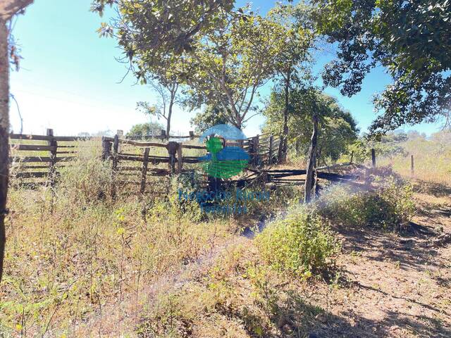 #567 - Fazenda para Venda em Uruaçu - GO - 3
