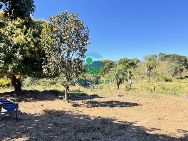 Fazenda para Venda em Uruaçu - 5