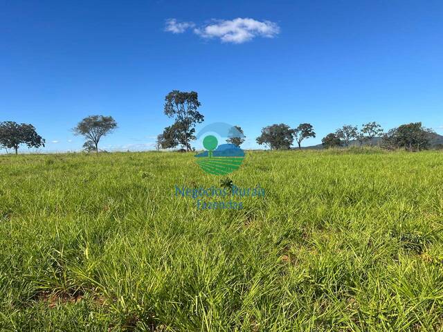 #568 - Fazenda para Venda em Jaraguá - GO - 1