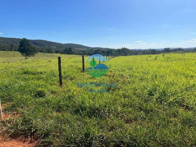 #568 - Fazenda para Venda em Jaraguá - GO - 2